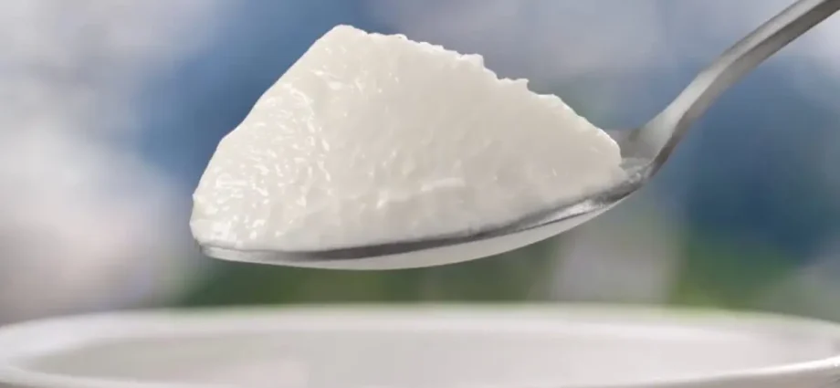 მაწონი
