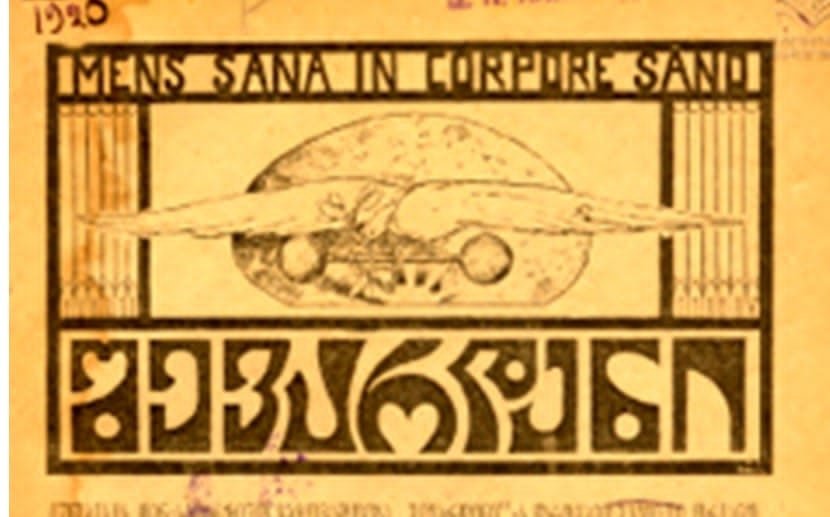შევარდენი
