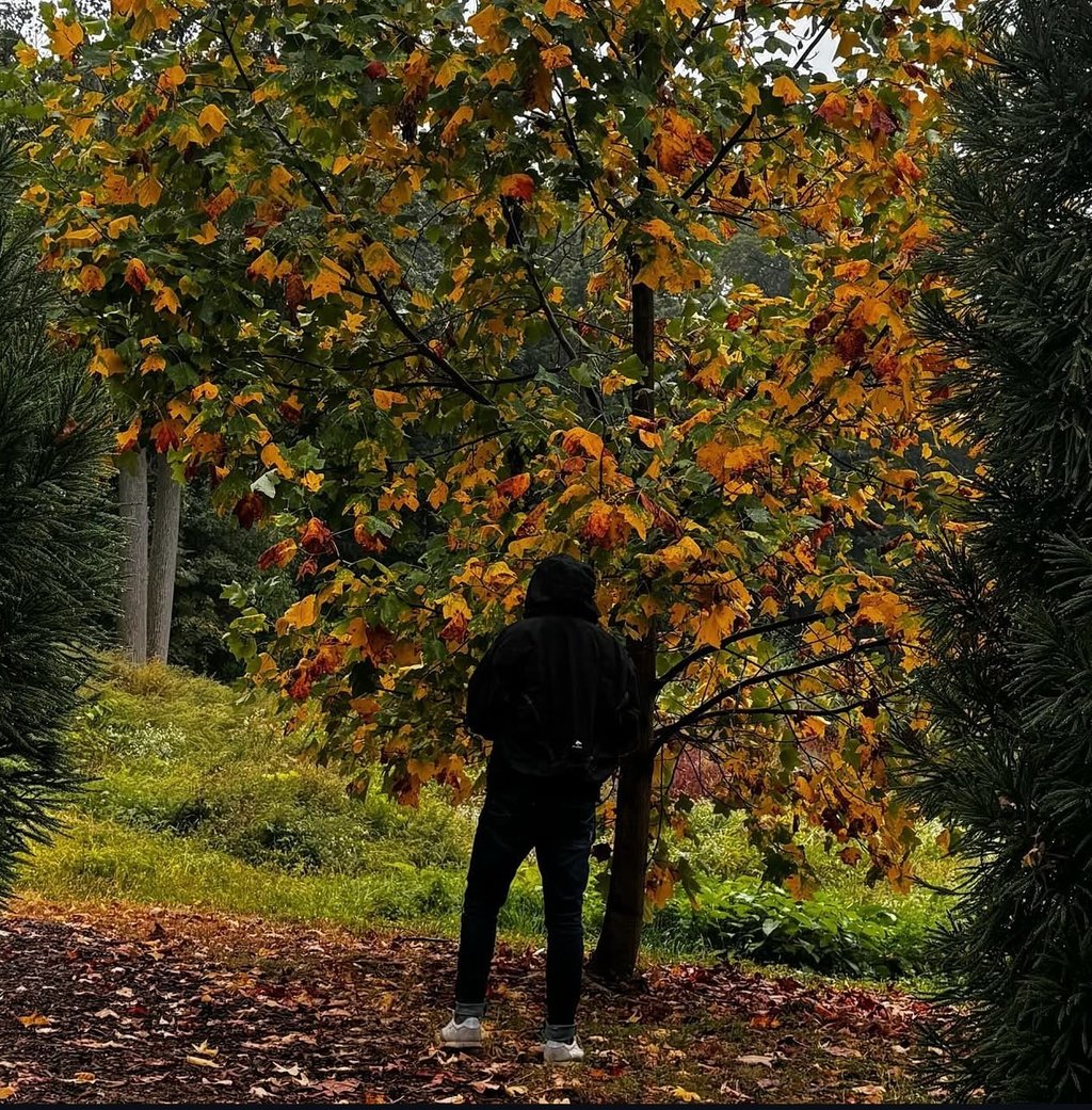 პეტრე კოლხი