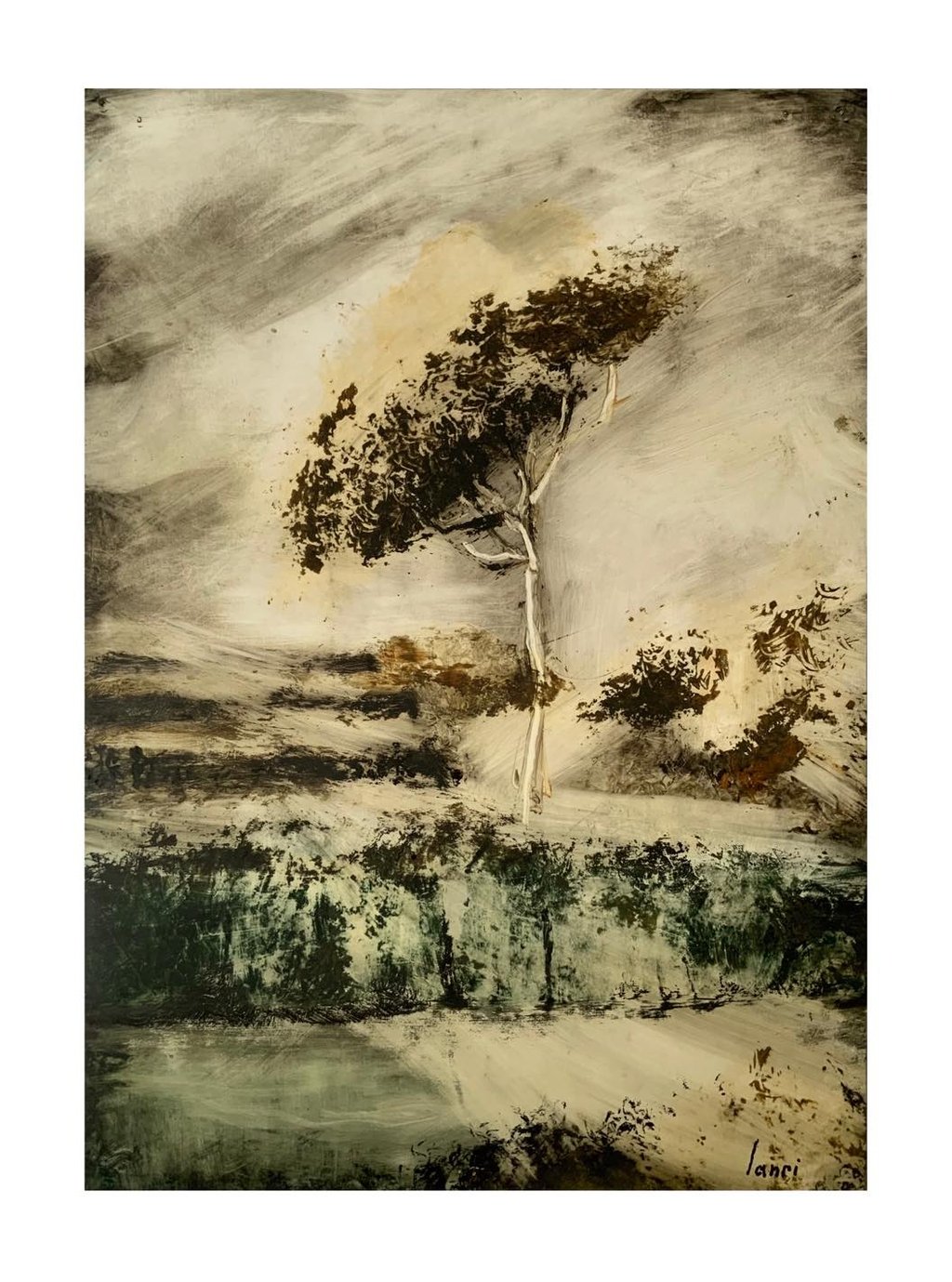 ჟანრი ლოლაშვილი