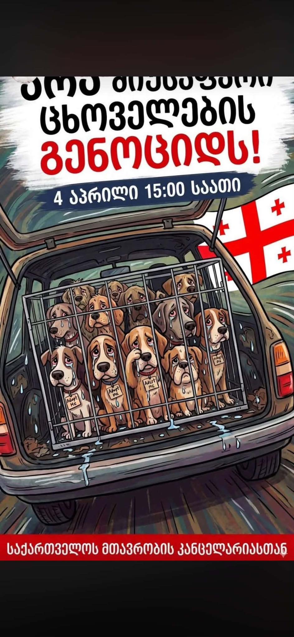 ძაღლები