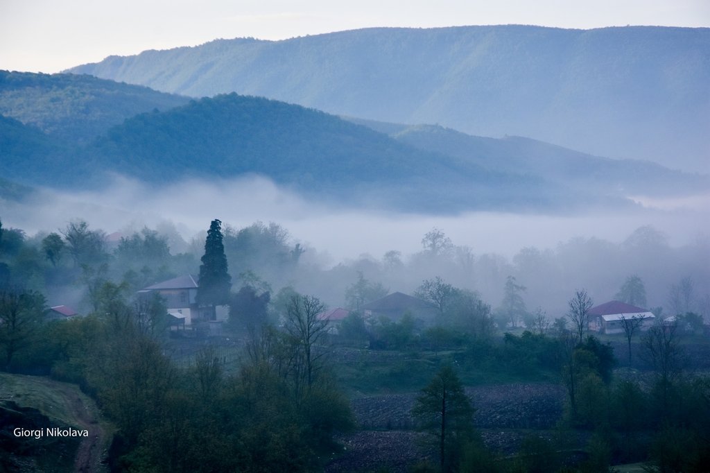 წაჩხურობა