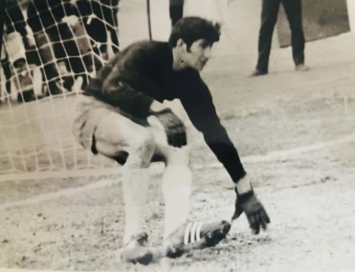 თამაზ სტეფანია