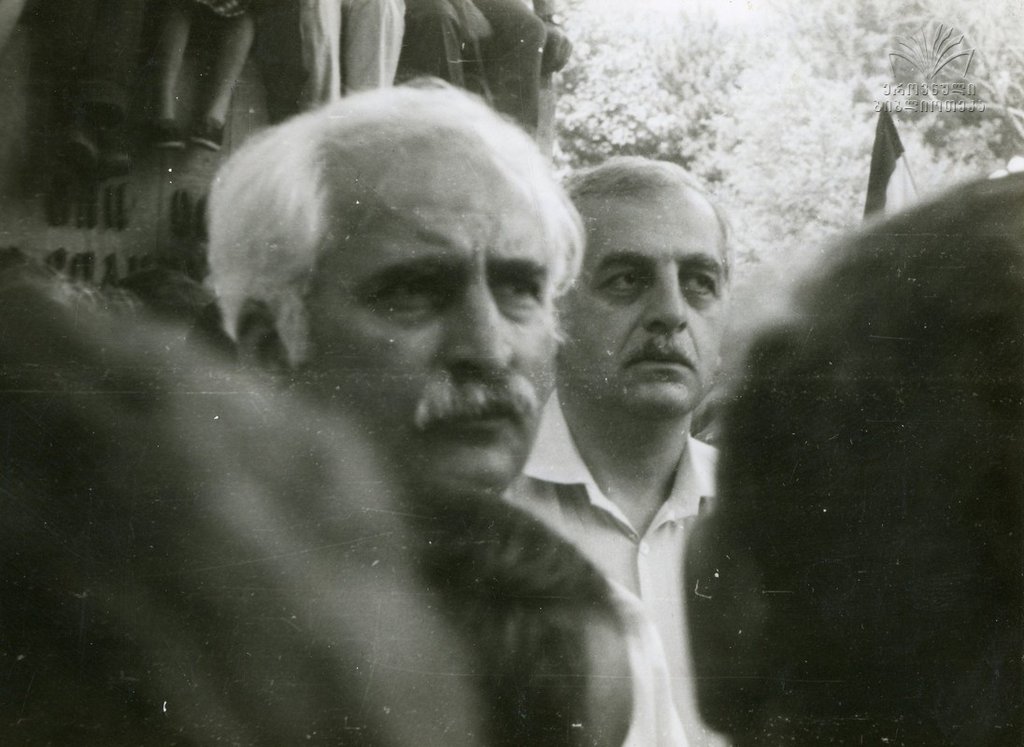 კოსტავა და გამსახურდია