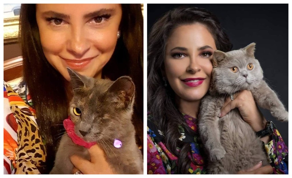 ია ფარულავა