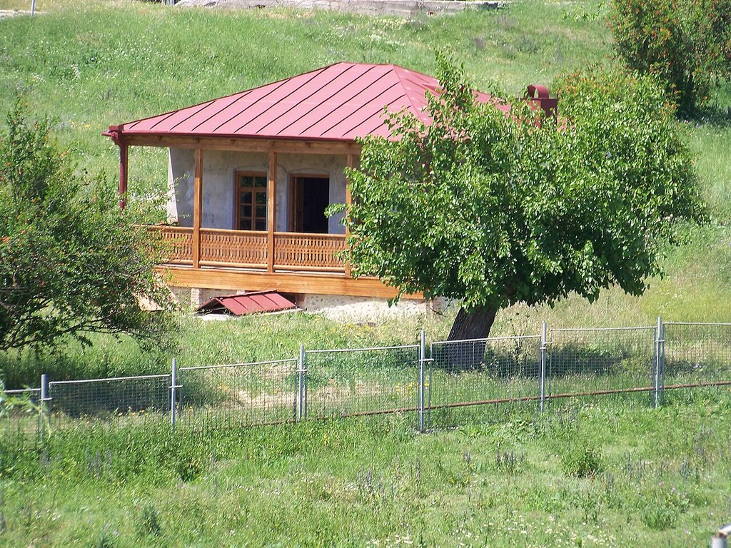 ნიკო ფიროსმანი