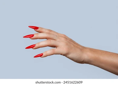 ფრჩხილები