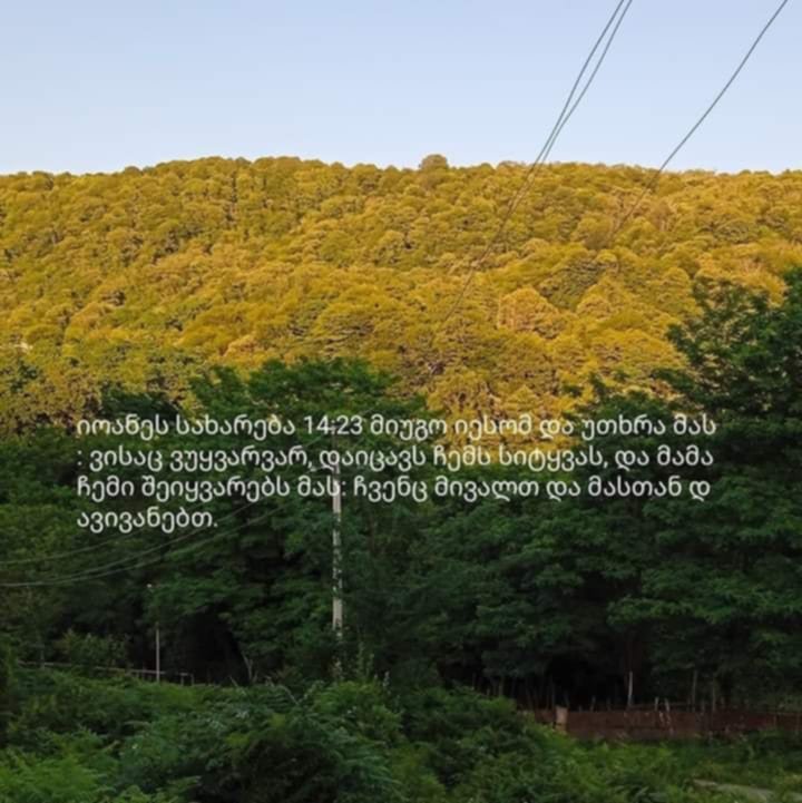 გოდერძი მაღლაფერიძე