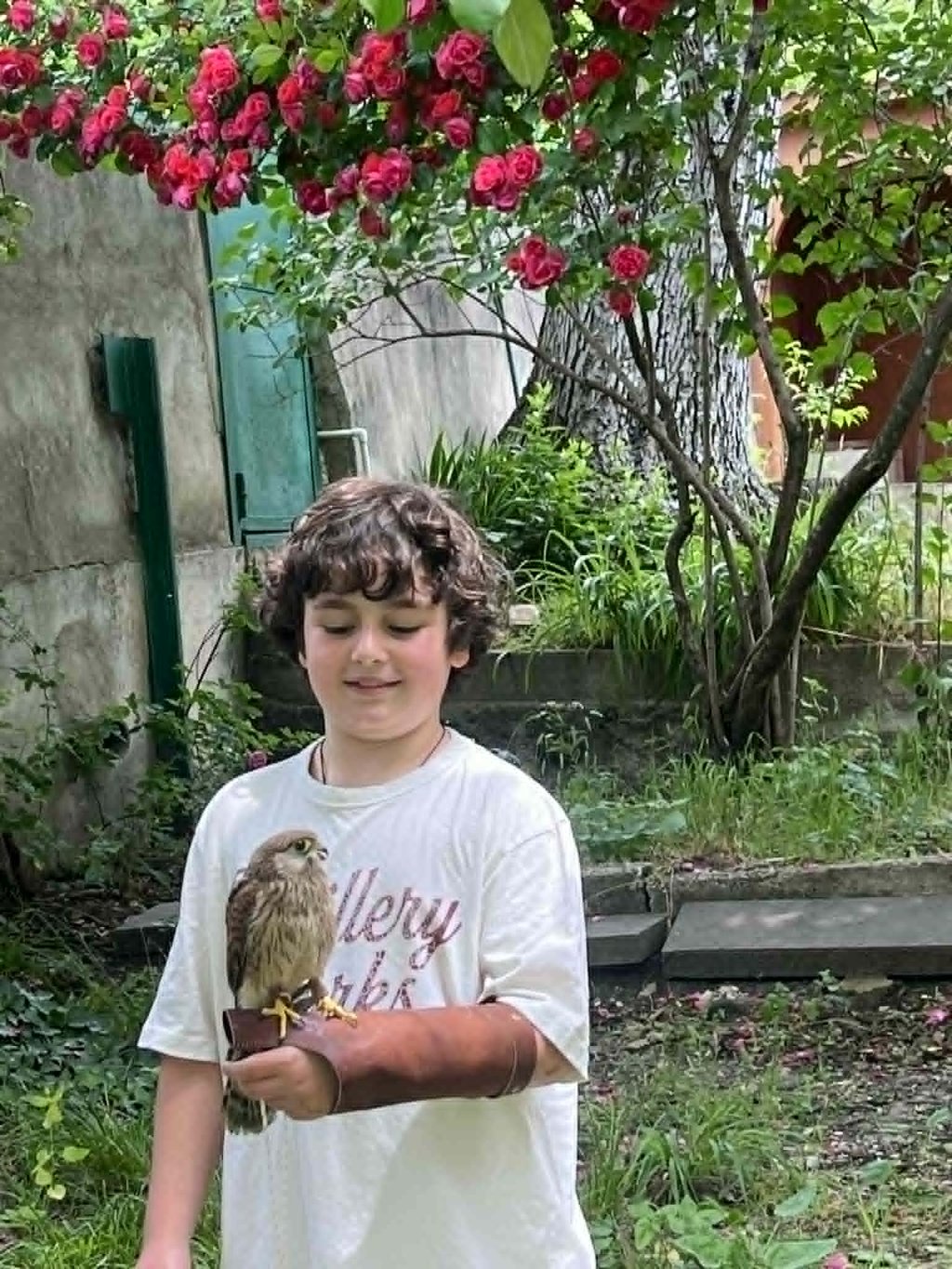 დანიელი