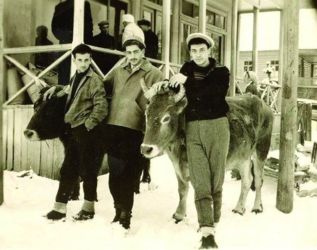 დოჩანა