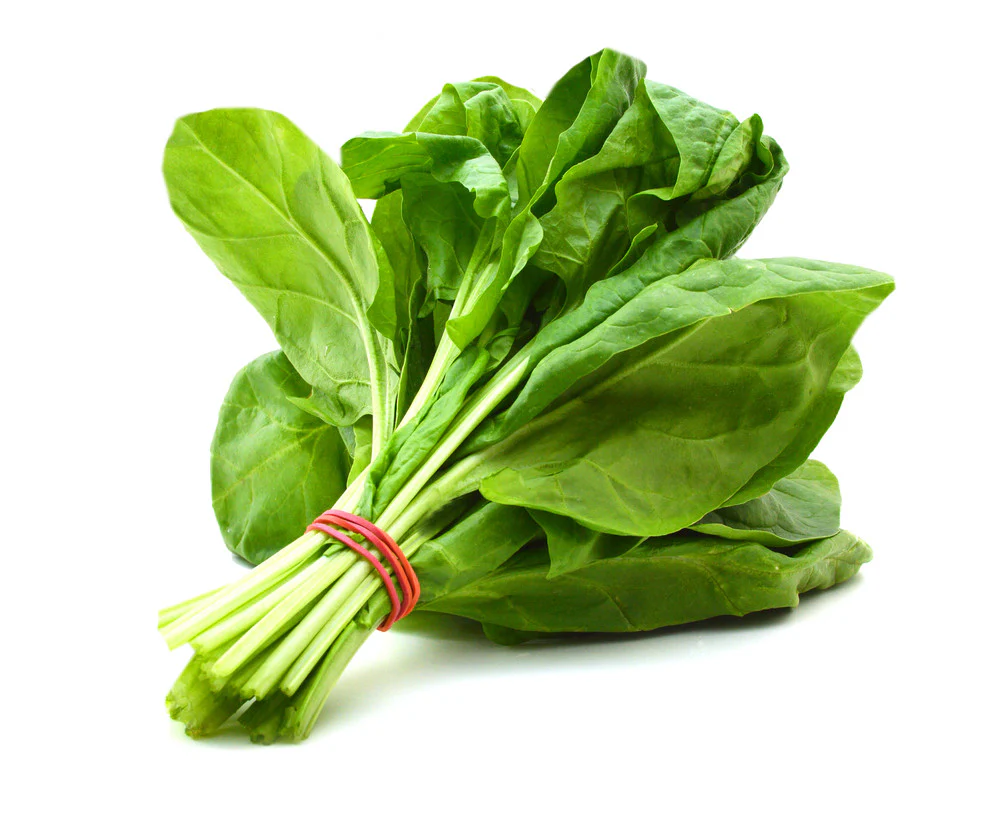 ისპანახი