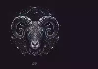 ვერძი